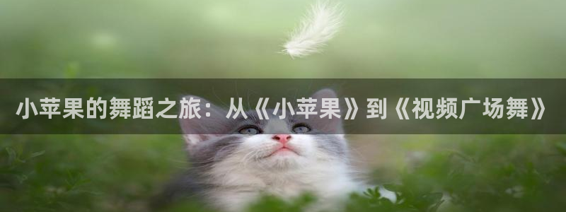 小苹果的舞蹈之旅：从《小苹果》到《视频广场舞》