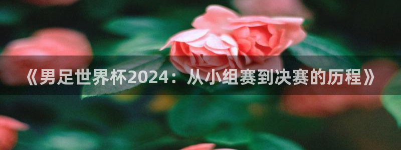 《男足世界杯2024：从小组赛到决赛的历程》