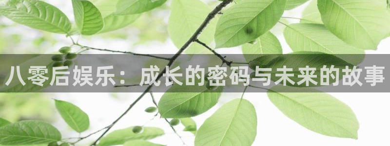 八零后娱乐：成长的密码与未来的故事