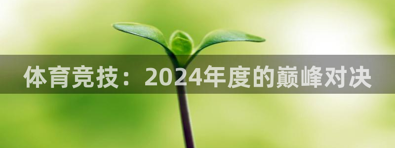体育竞技：2024年度的巅峰对决