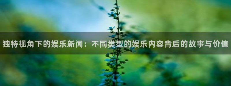 独特视角下的娱乐新闻：不同类型的娱乐内容背后的故事与价值