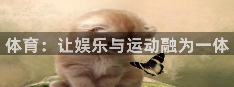 体育：让娱乐与运动融为一体