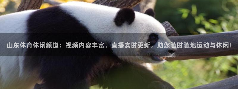山东体育休闲频道：视频内容丰富，直播实时更新，助您随时随地运动与休闲!
