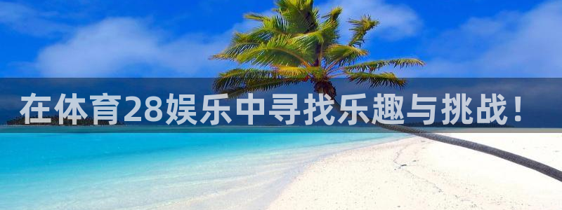 在体育28娱乐中寻找乐趣与挑战！