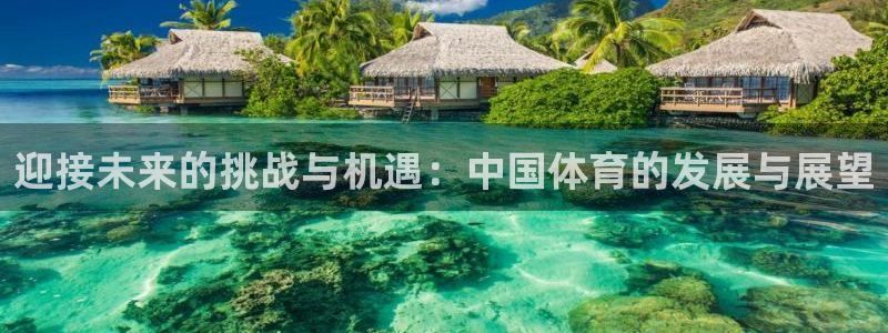 迎接未来的挑战与机遇：中国体育的发展与展望