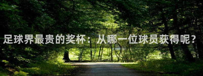 足球界最贵的奖杯：从哪一位球员获得呢？