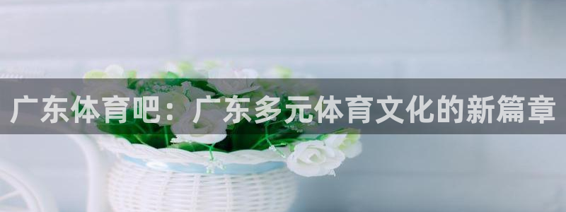 广东体育吧：广东多元体育文化的新篇章